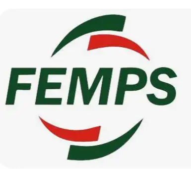 FEMPS Fabtech Pvt Ltd